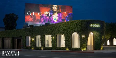 vip gucci|gucci account sign in.